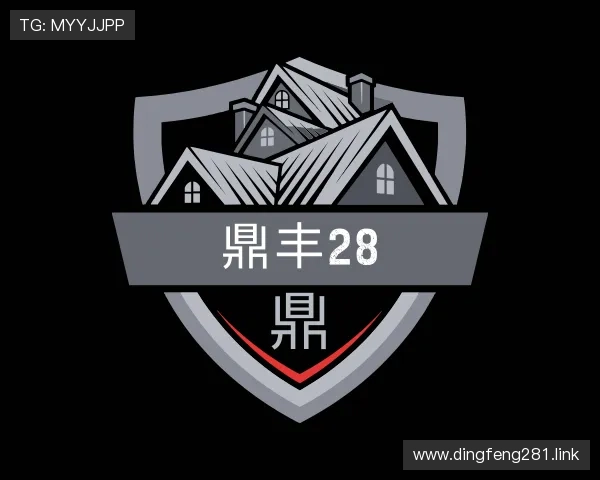 推介鼎丰28